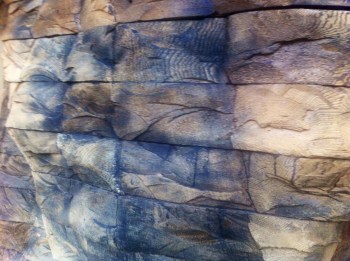 01219259e1140cd87ae3ac6e7967ded4b89bb0e4bc